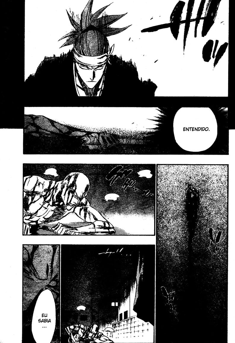 Bleach Capítulo 206 Página 15