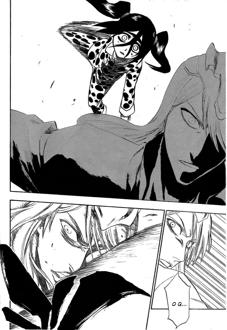 Bleach Capítulo 207 Página 12