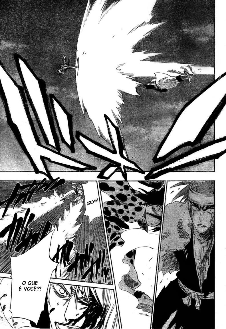 Bleach Capítulo 207 Página 13