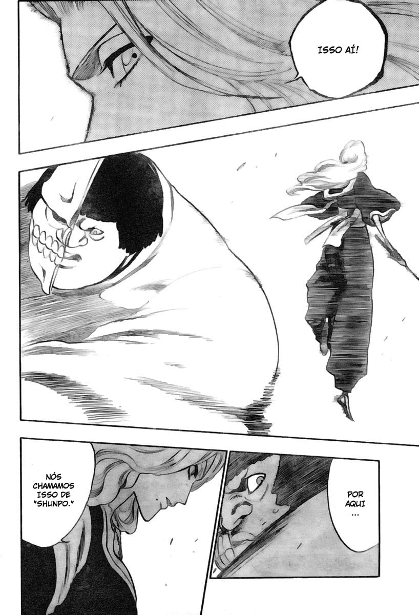 Bleach Capítulo 210 Página 11