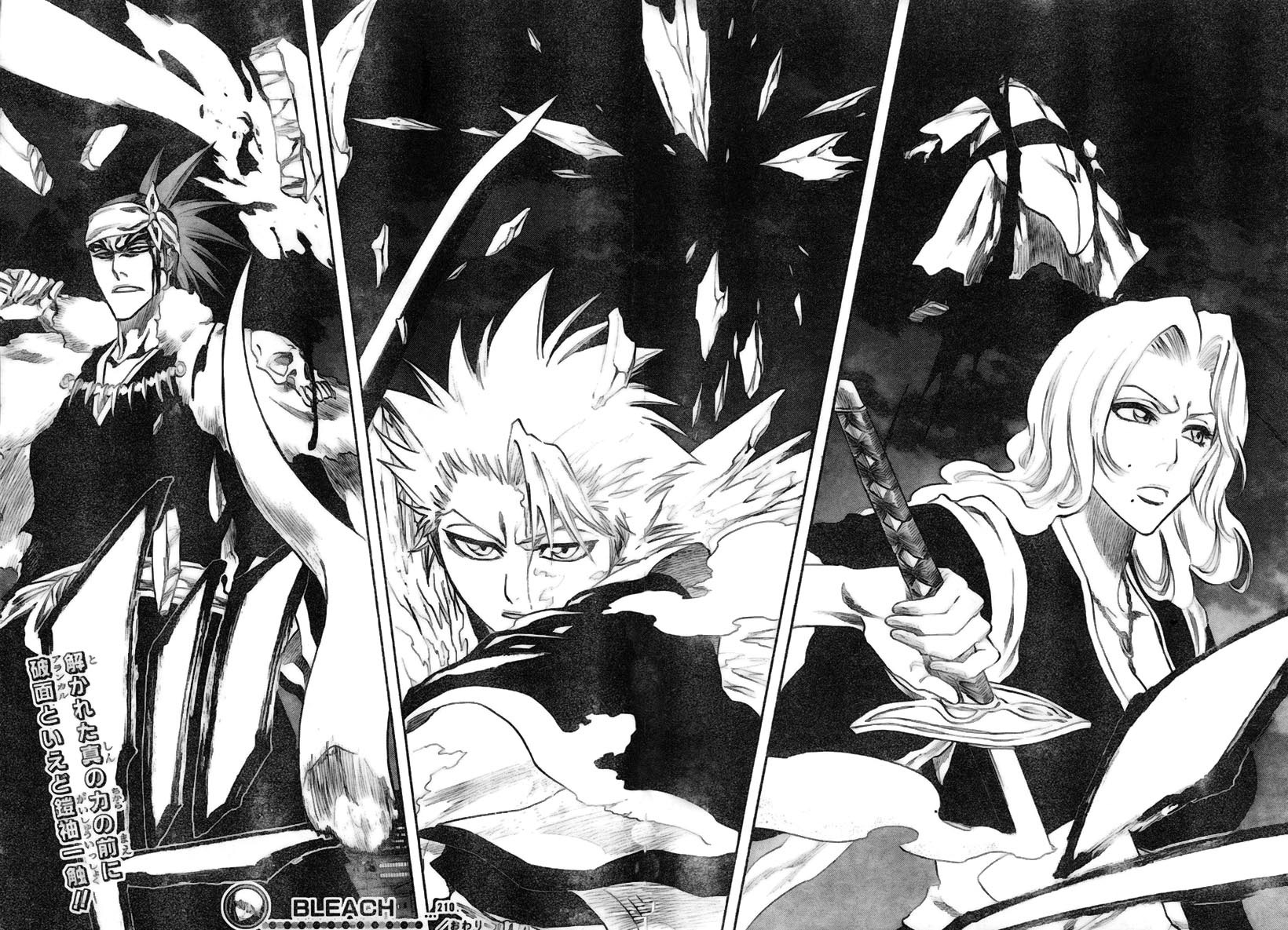 Bleach Capítulo 210 Página 17