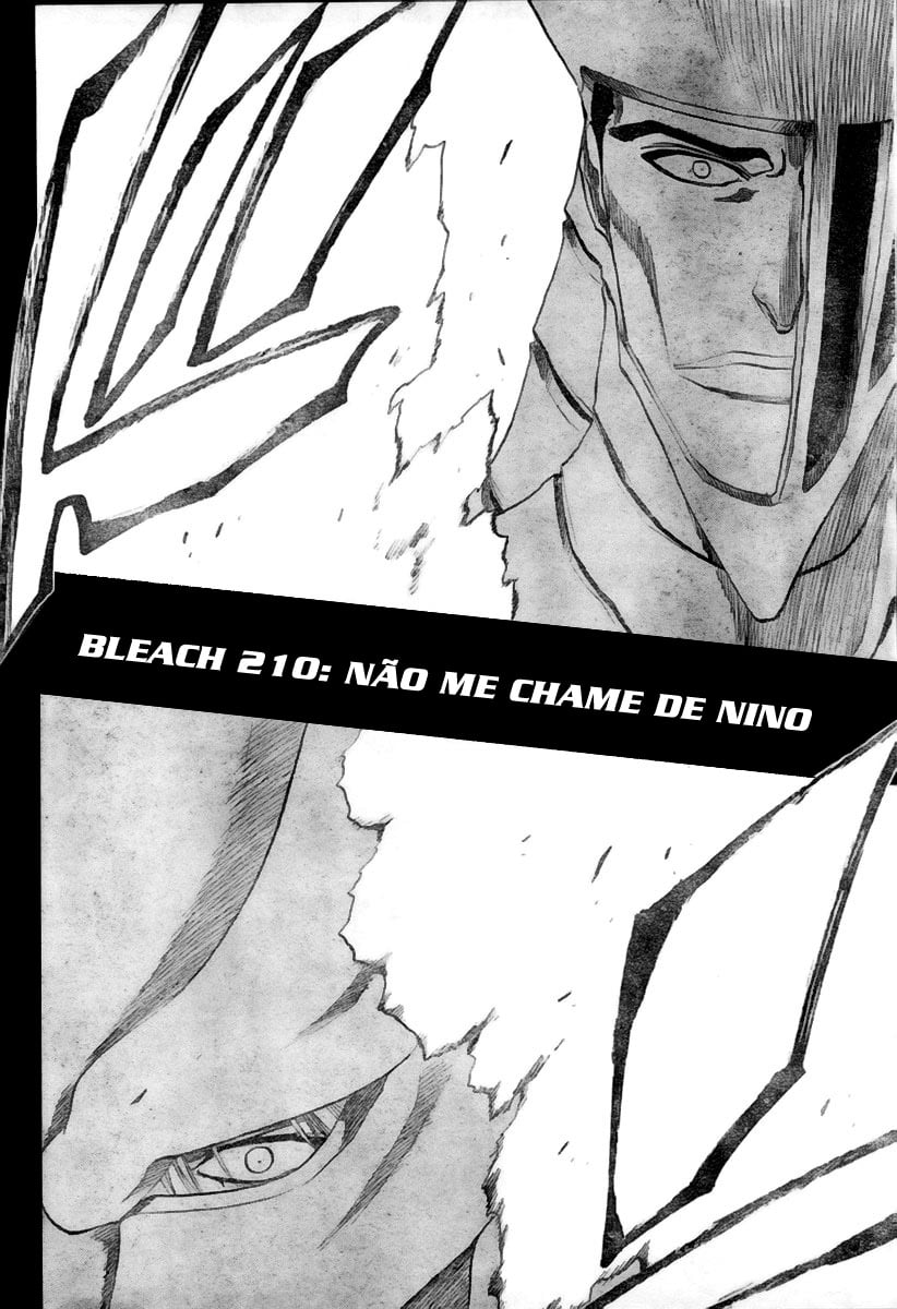 Bleach Capítulo 210 Página 2