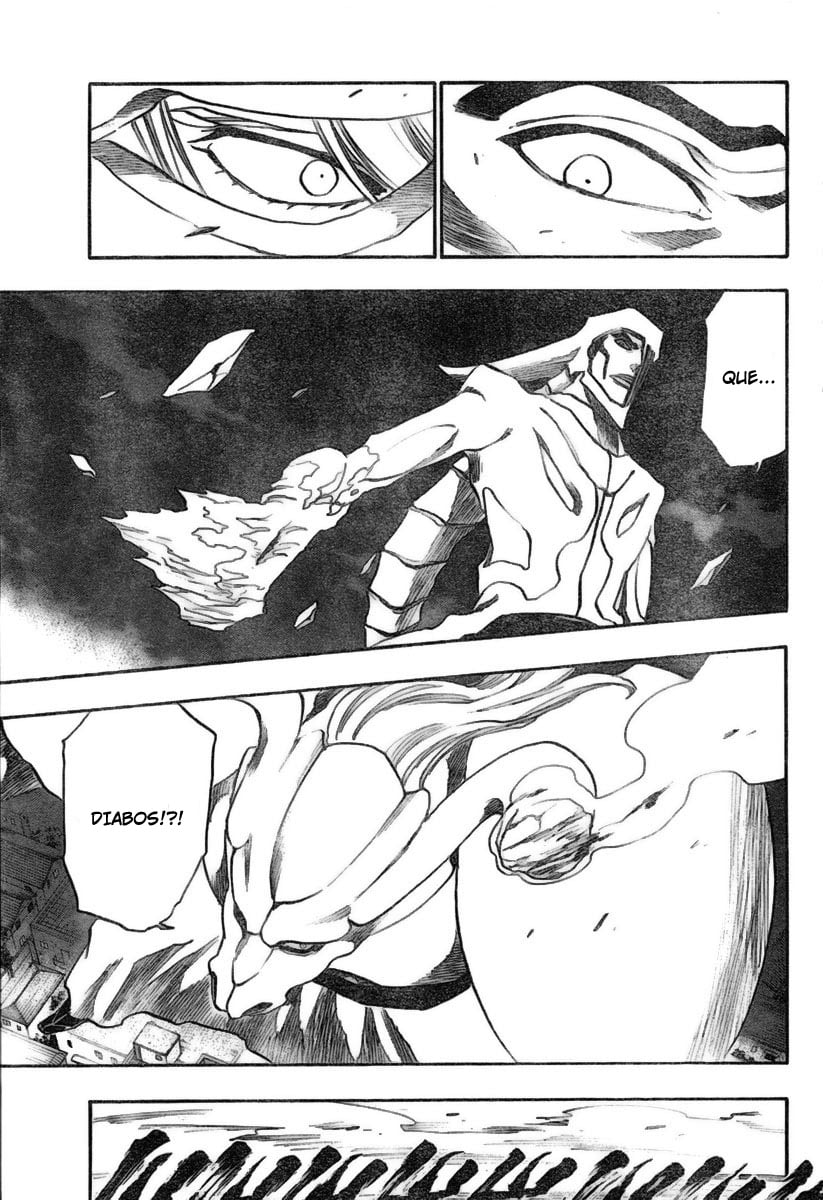 Bleach Capítulo 210 Página 3