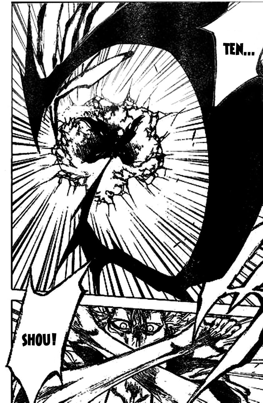 Bleach Capítulo 211 Página 14