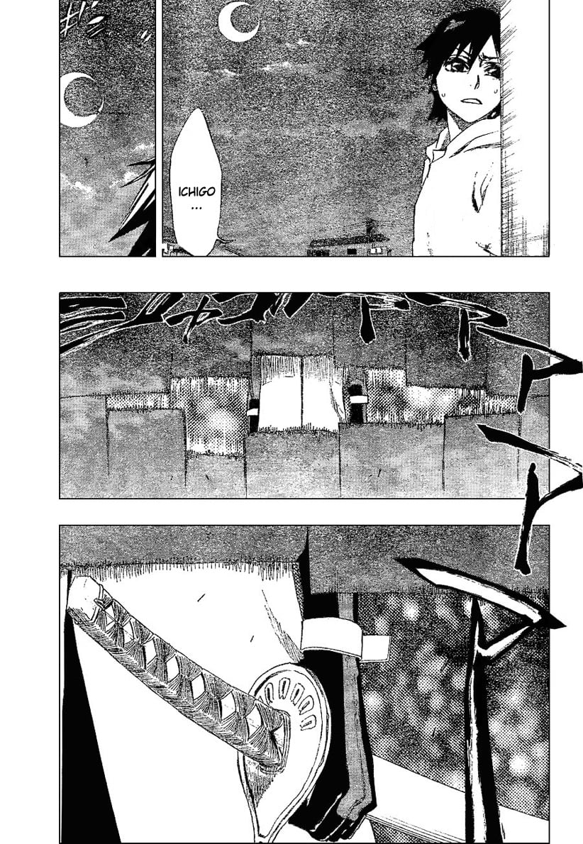 Bleach Capítulo 211 Página 18