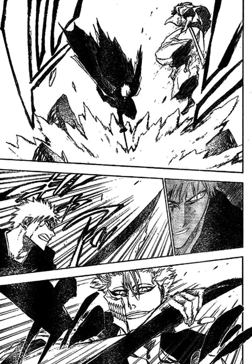 Bleach Capítulo 211 Página 6