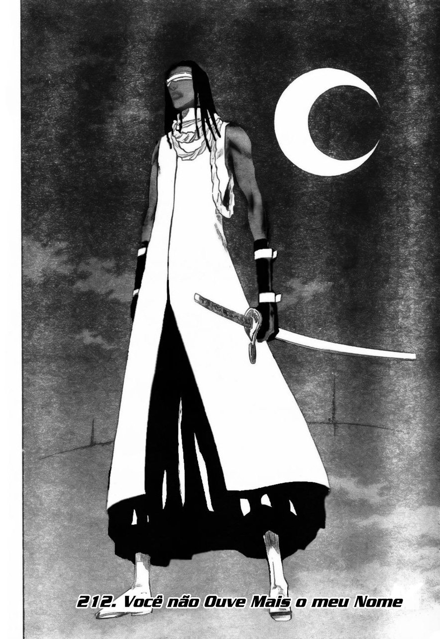 Bleach Capítulo 212 Página 2
