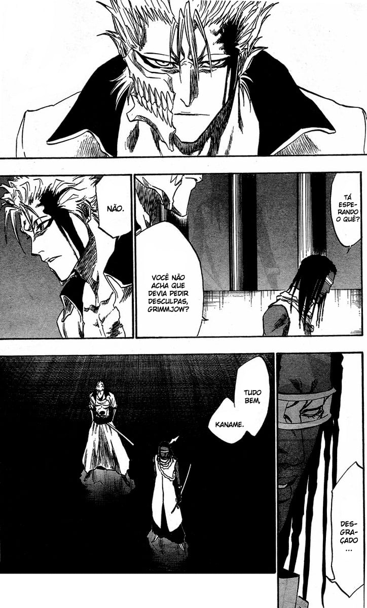 Bleach Capítulo 213 Página 10