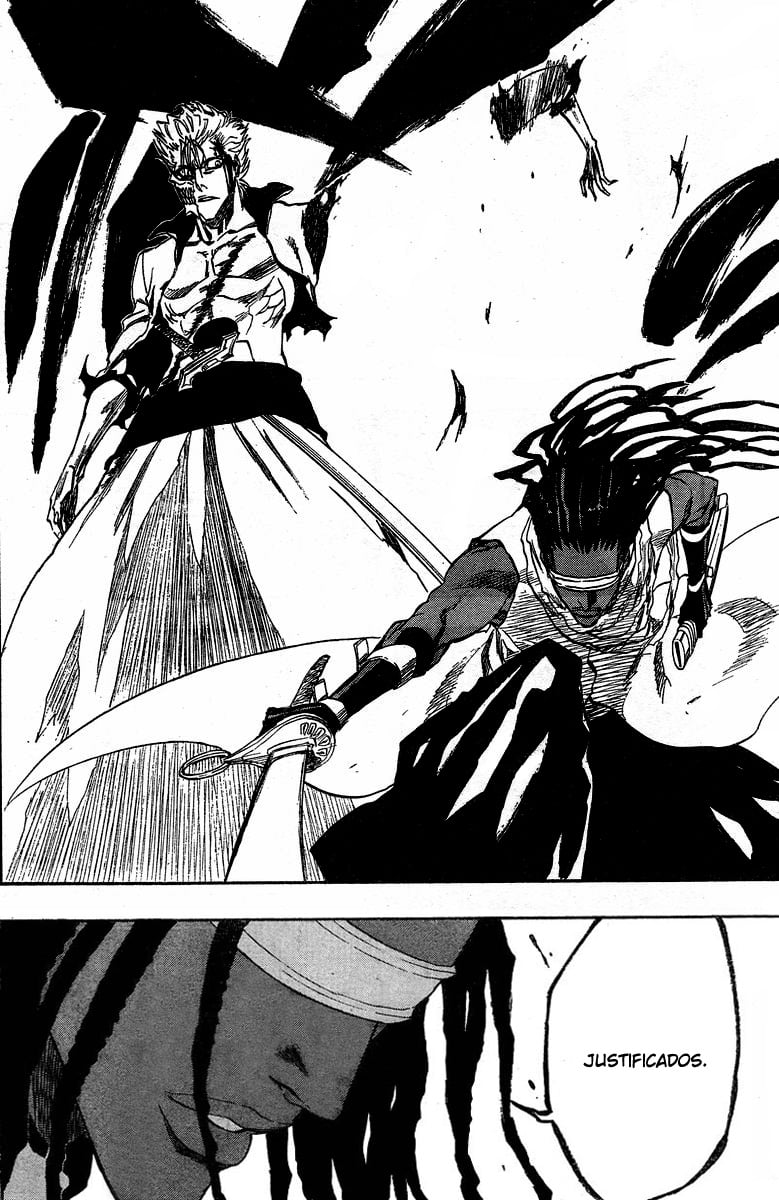 Bleach Capítulo 213 Página 14