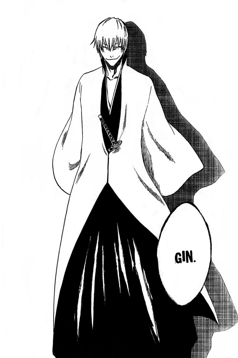 Bleach Capítulo 213 Página 18