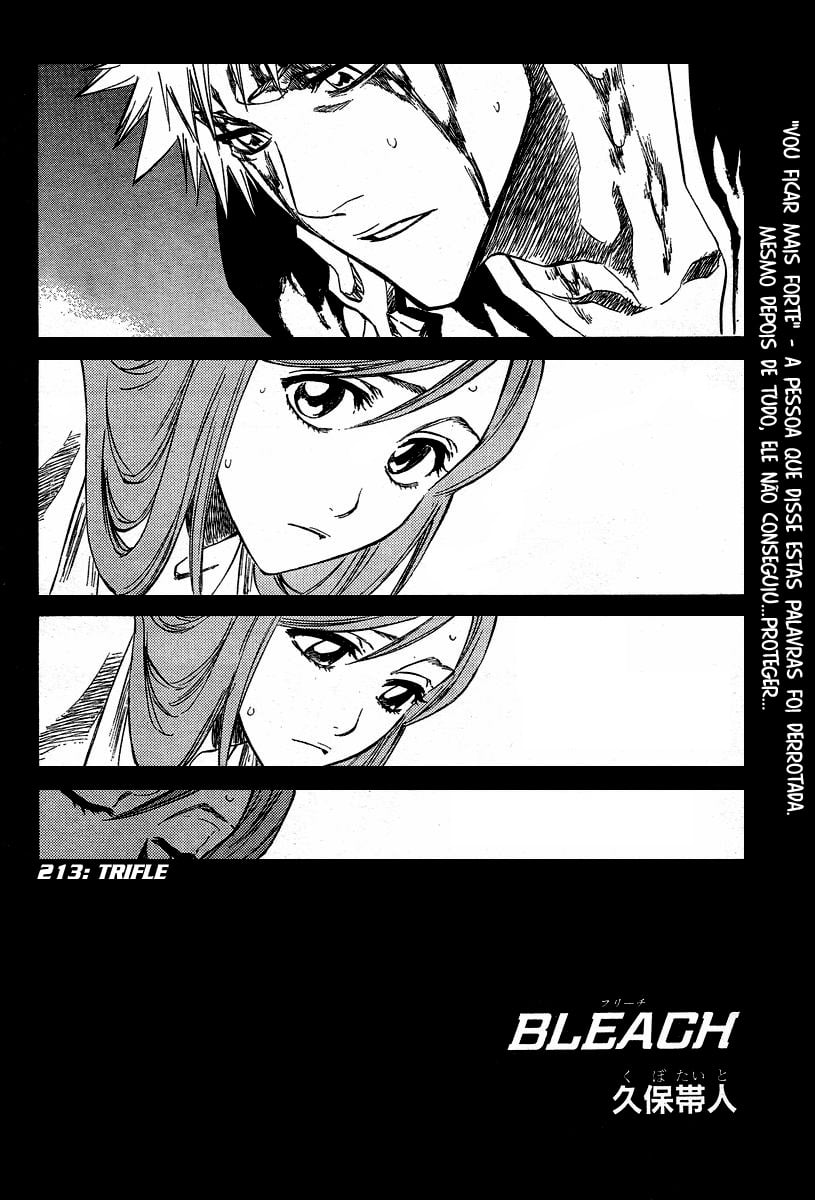 Bleach Capítulo 213 Página 8