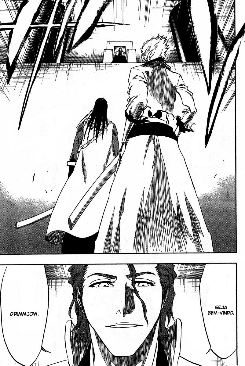 Bleach Capítulo 213 Página 9