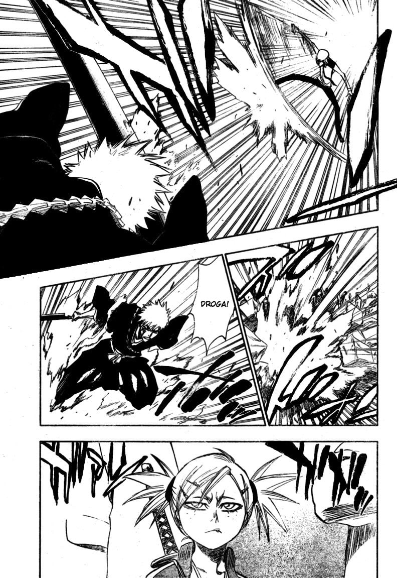 Bleach Capítulo 215 Página 9