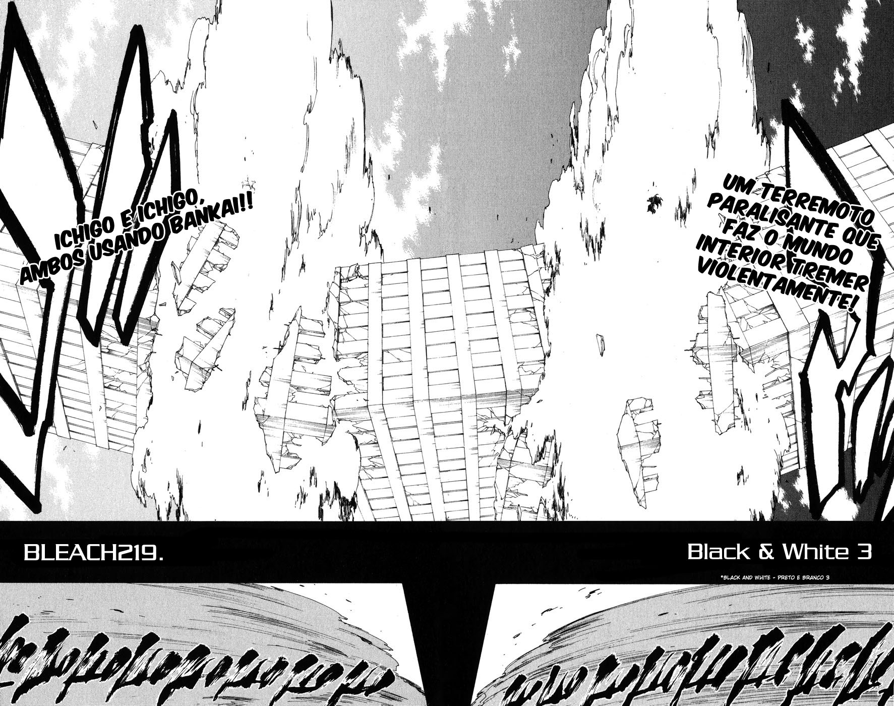 Bleach Capítulo 219 Página 4