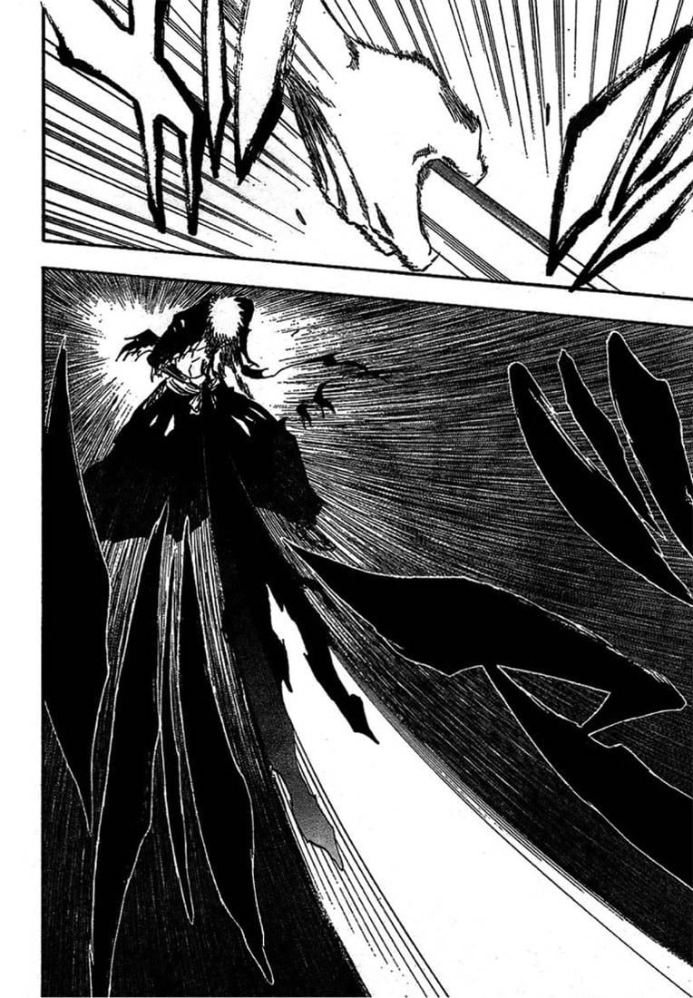Bleach Capítulo 220 Página 20