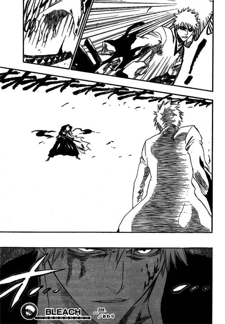 Bleach Capítulo 220 Página 22