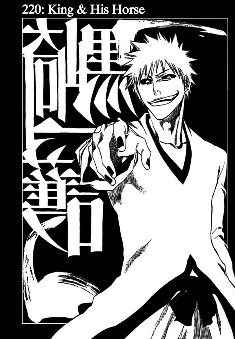 Bleach Capítulo 220 Página 9