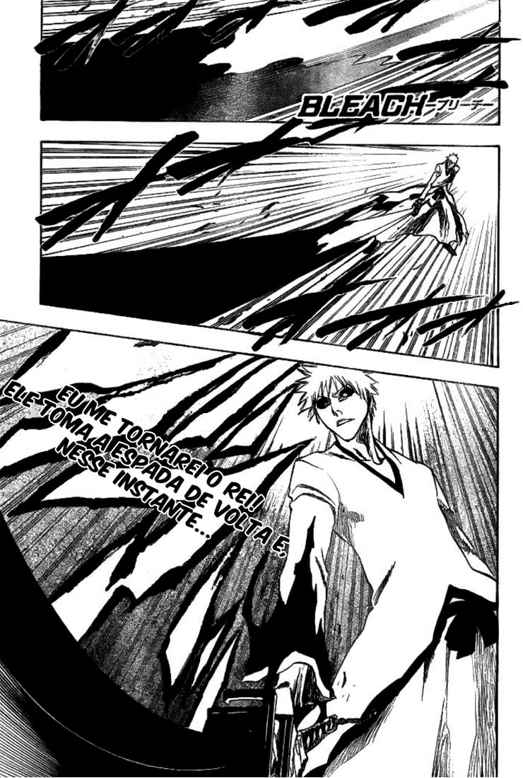 Bleach Capítulo 221 Página 1