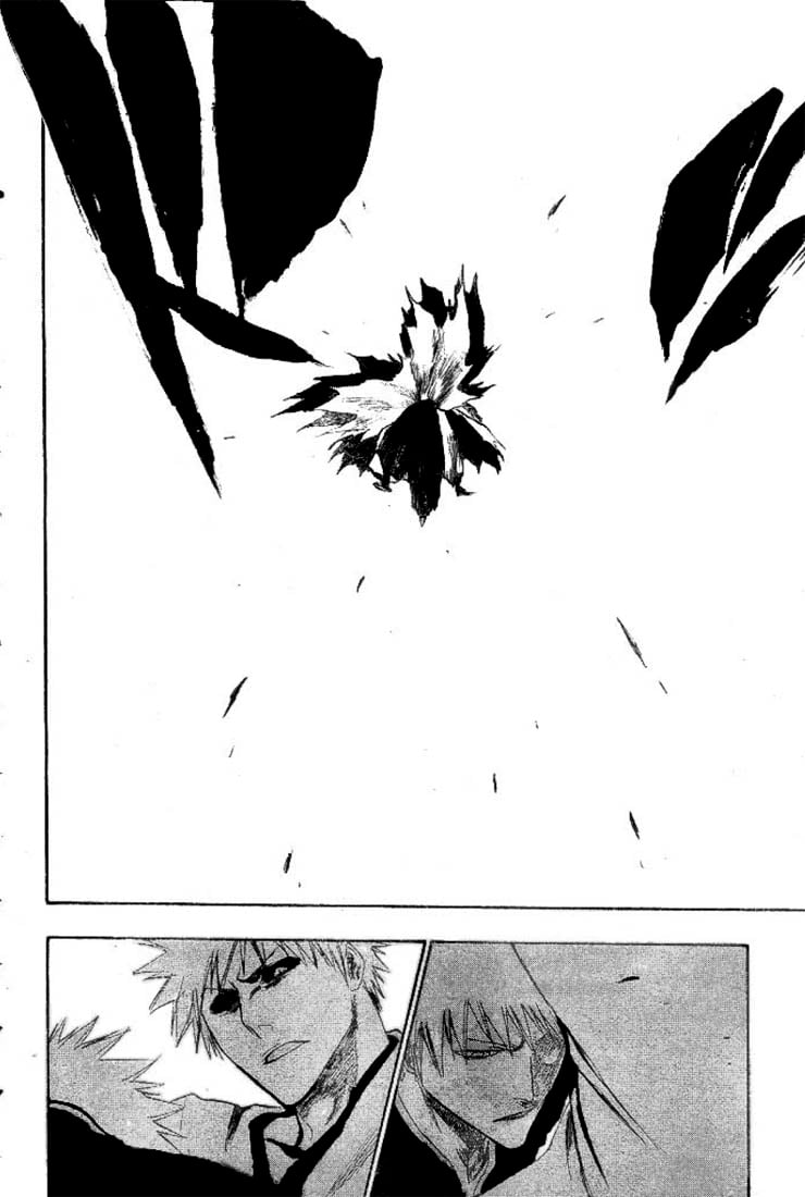 Bleach Capítulo 221 Página 14