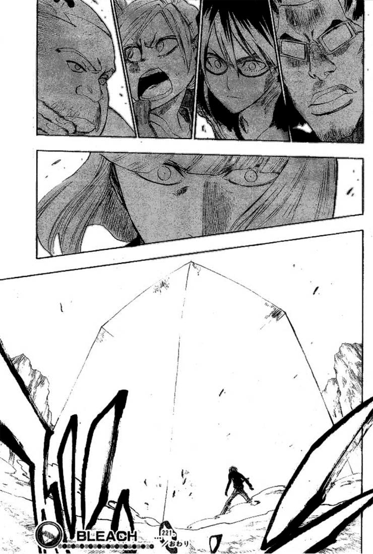 Bleach Capítulo 221 Página 19