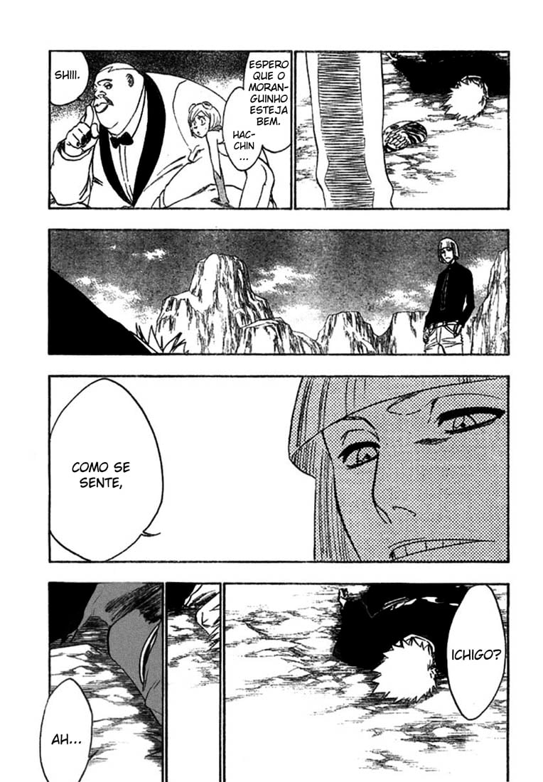 Bleach Capítulo 222 Página 13