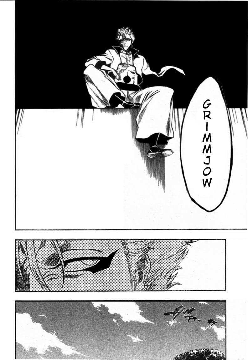 Bleach Capítulo 229 Página 17