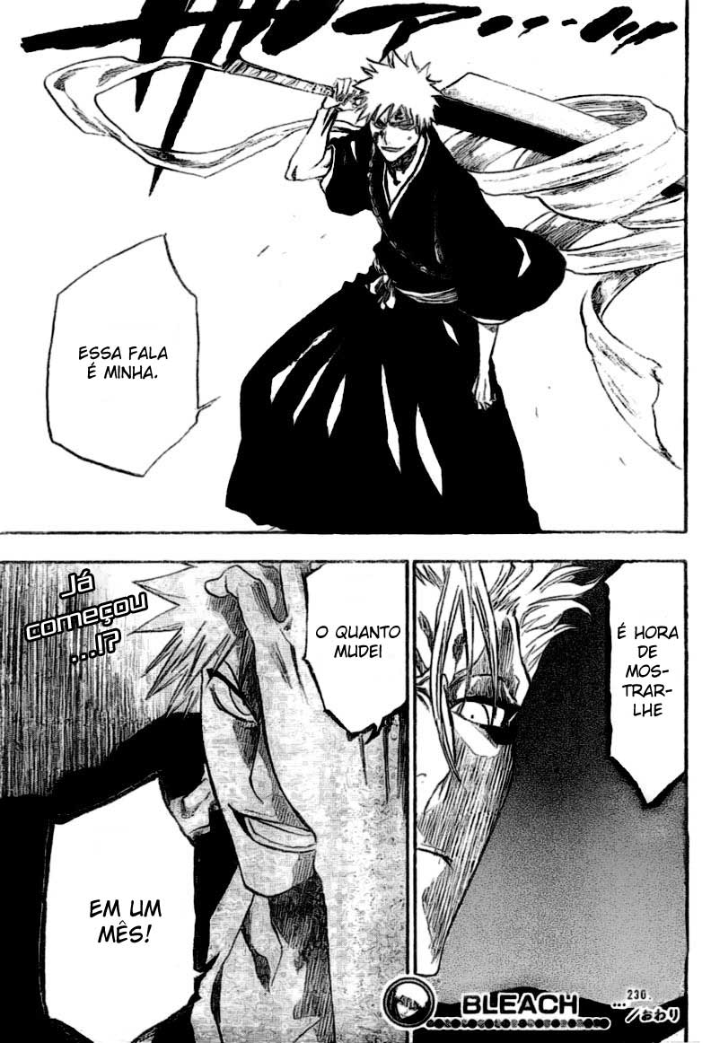 Bleach Capítulo 230 Página 18