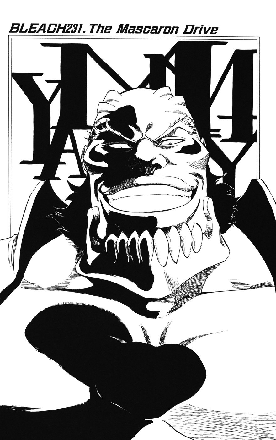 Bleach Capítulo 231 Página 2