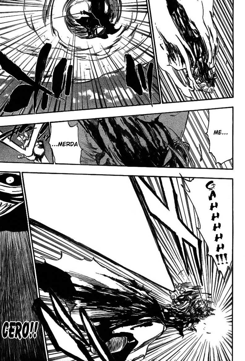Bleach Capítulo 232 Página 17