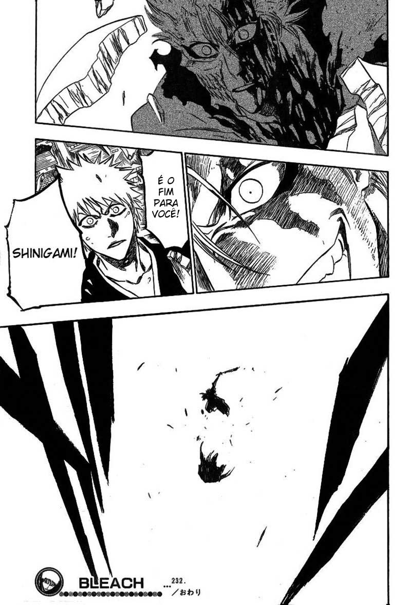 Bleach Capítulo 232 Página 21