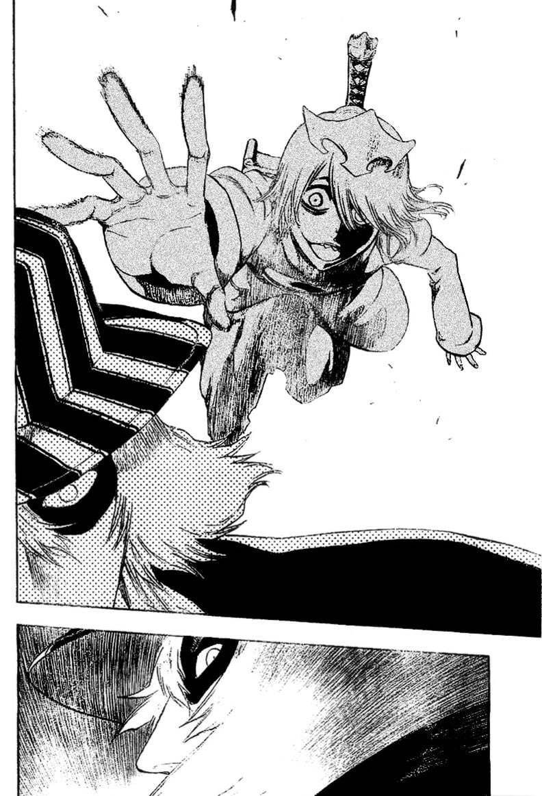 Bleach Capítulo 233 Página 14