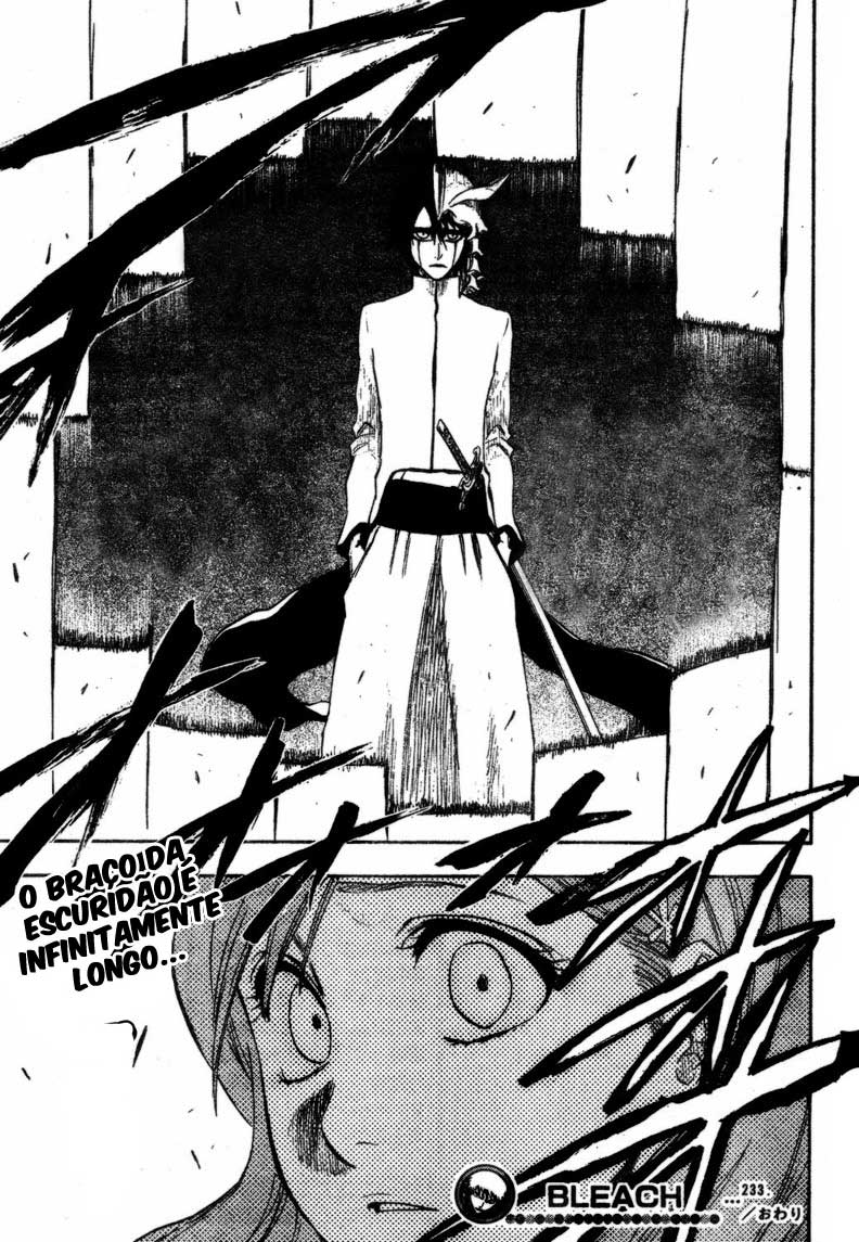 Bleach Capítulo 233 Página 19