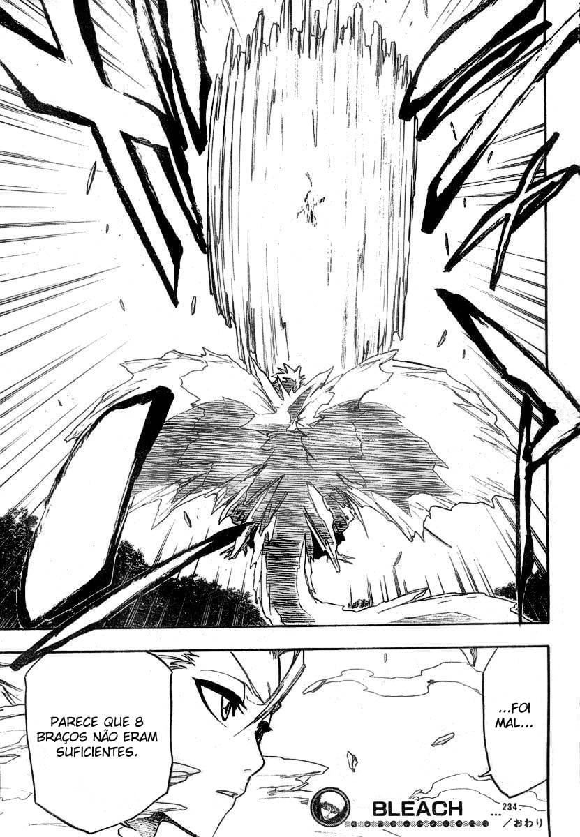 Bleach Capítulo 234 Página 19