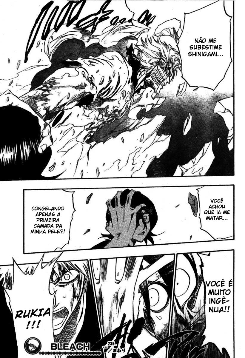 Bleach Capítulo 235 Página 20