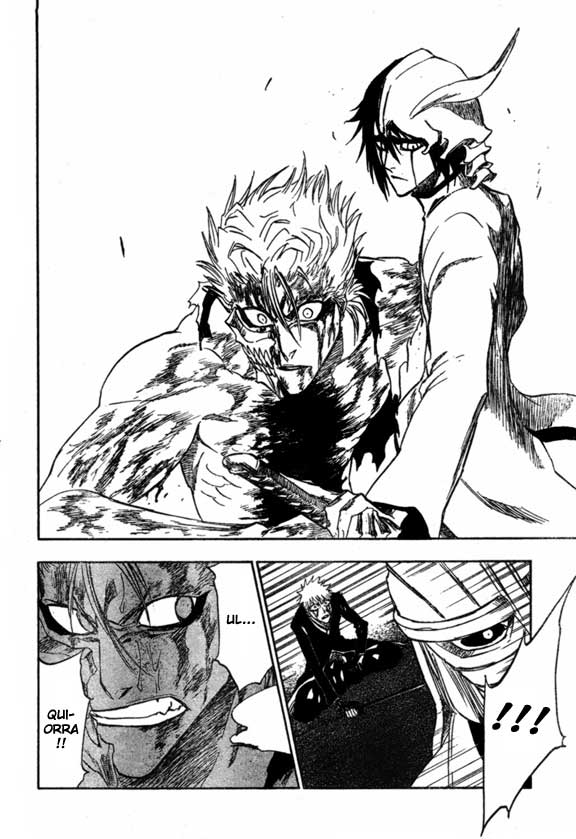 Bleach Capítulo 236 Página 14