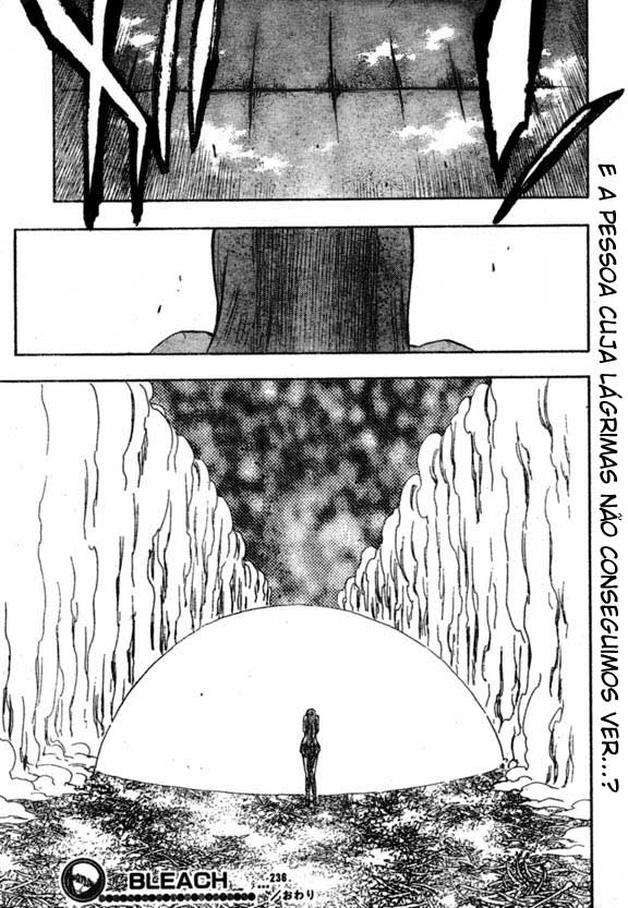 Bleach Capítulo 236 Página 20