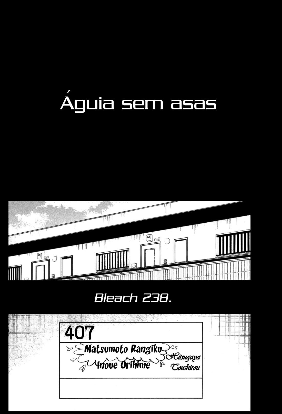 Bleach Capítulo 238 Página 4
