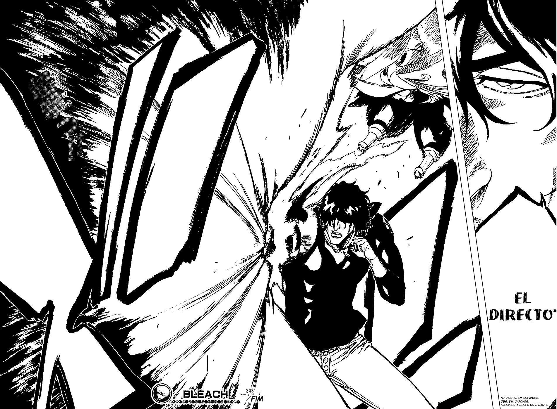 Bleach Capítulo 243 Página 18