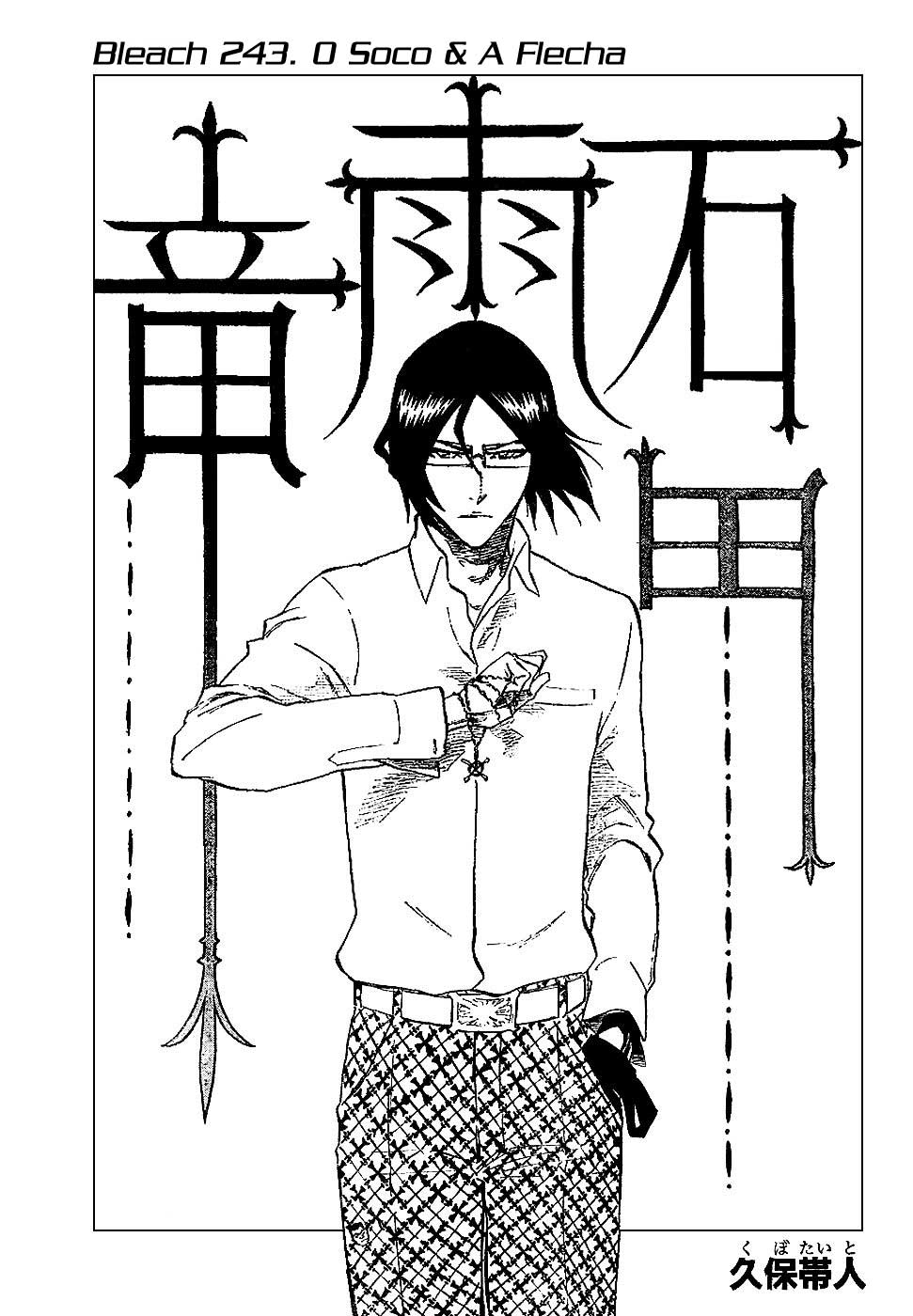 Bleach Capítulo 243 Página 5