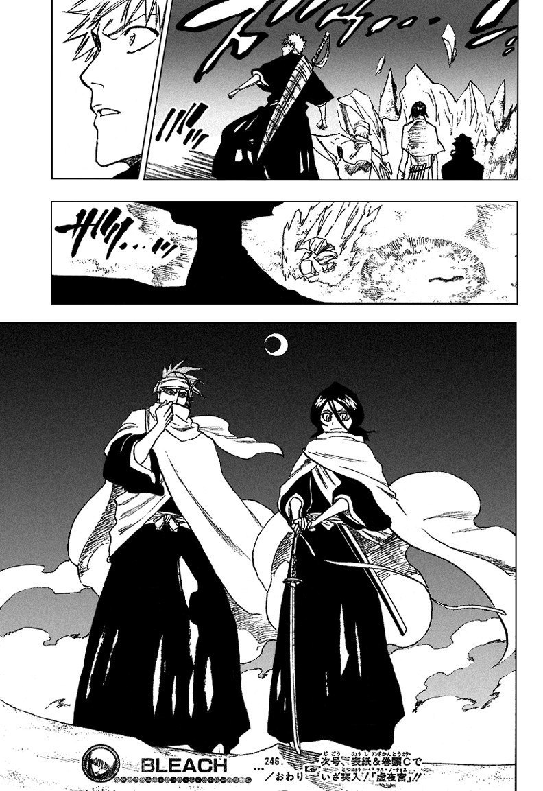 Bleach Capítulo 246 Página 20