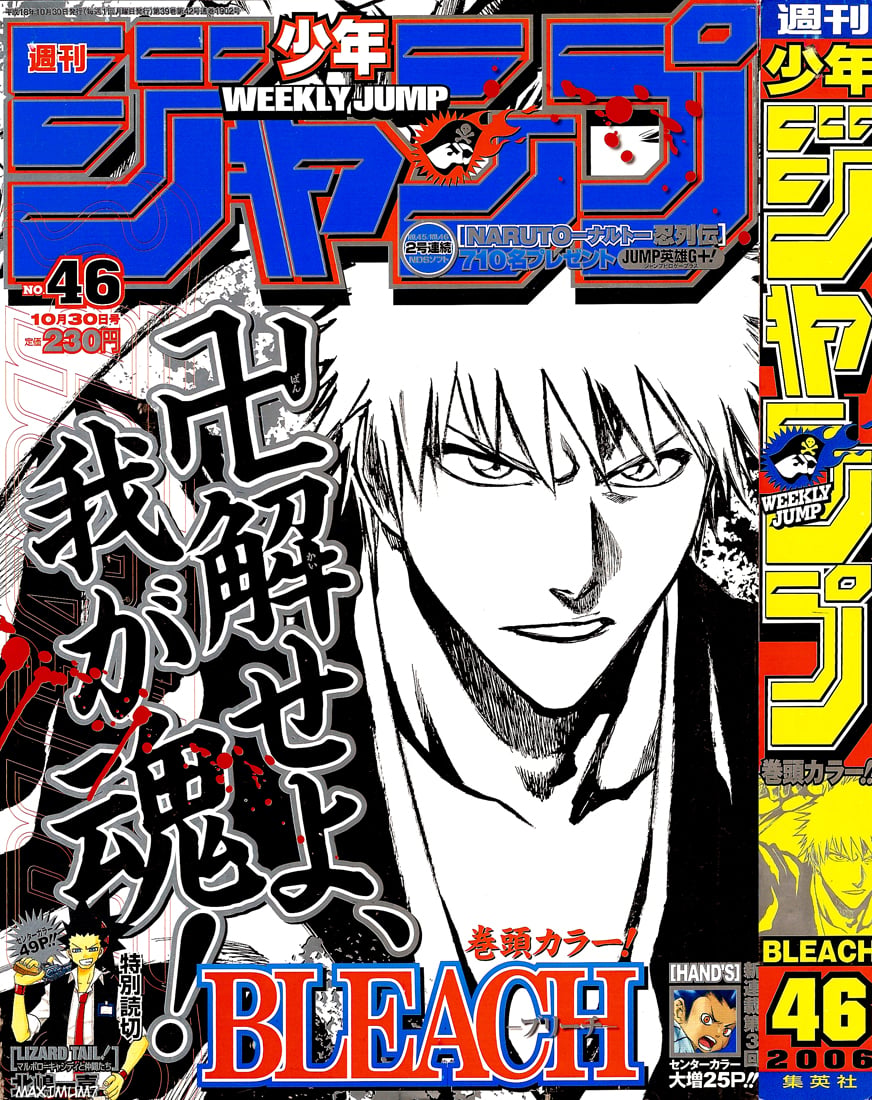 Bleach Capítulo 247 Página 1
