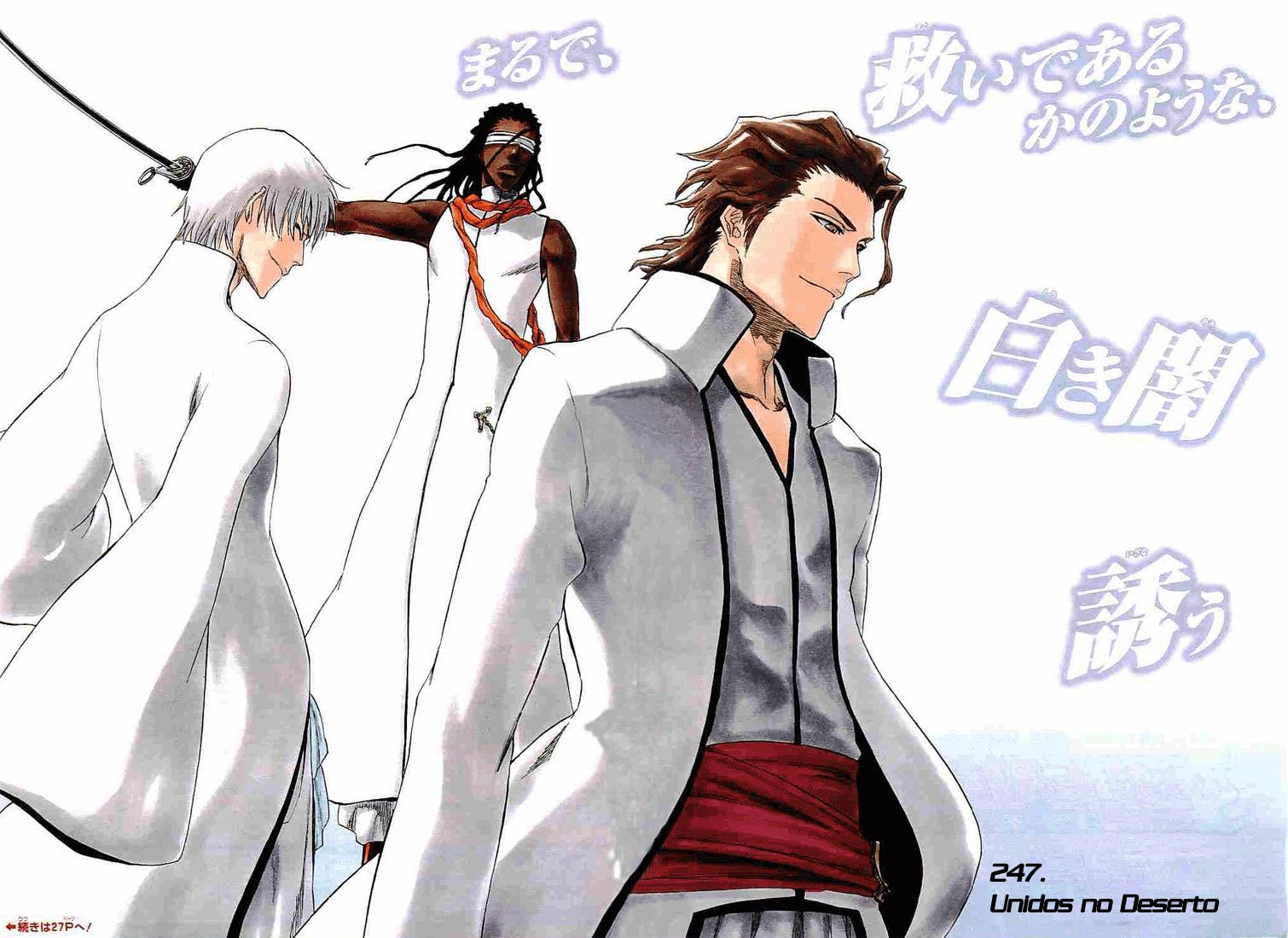 Bleach Capítulo 247 Página 4