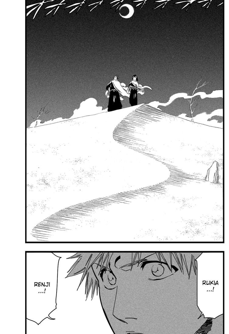 Bleach Capítulo 247 Página 5