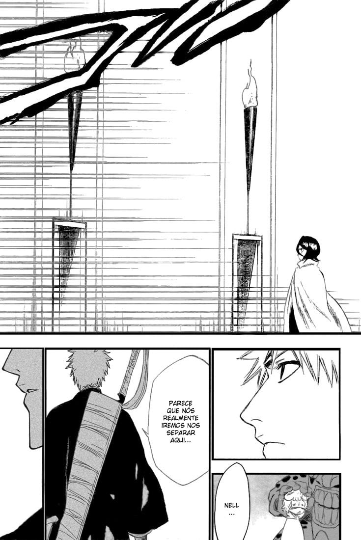 Bleach Capítulo 248 Página 11