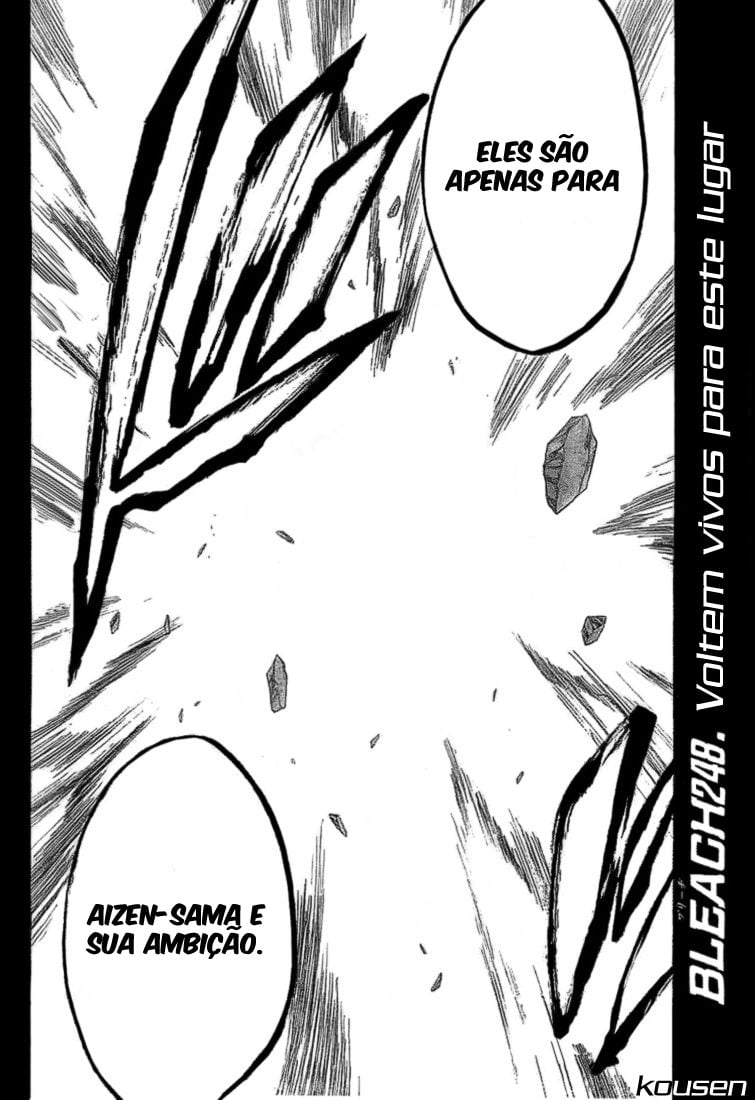 Bleach Capítulo 248 Página 4