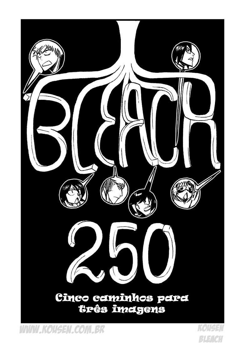 Bleach Capítulo 250 Página 3