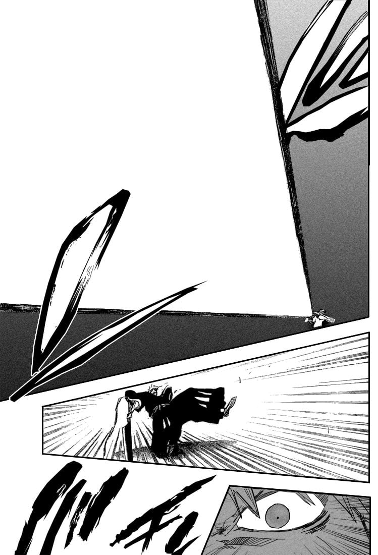 Bleach Capítulo 252 Página 14