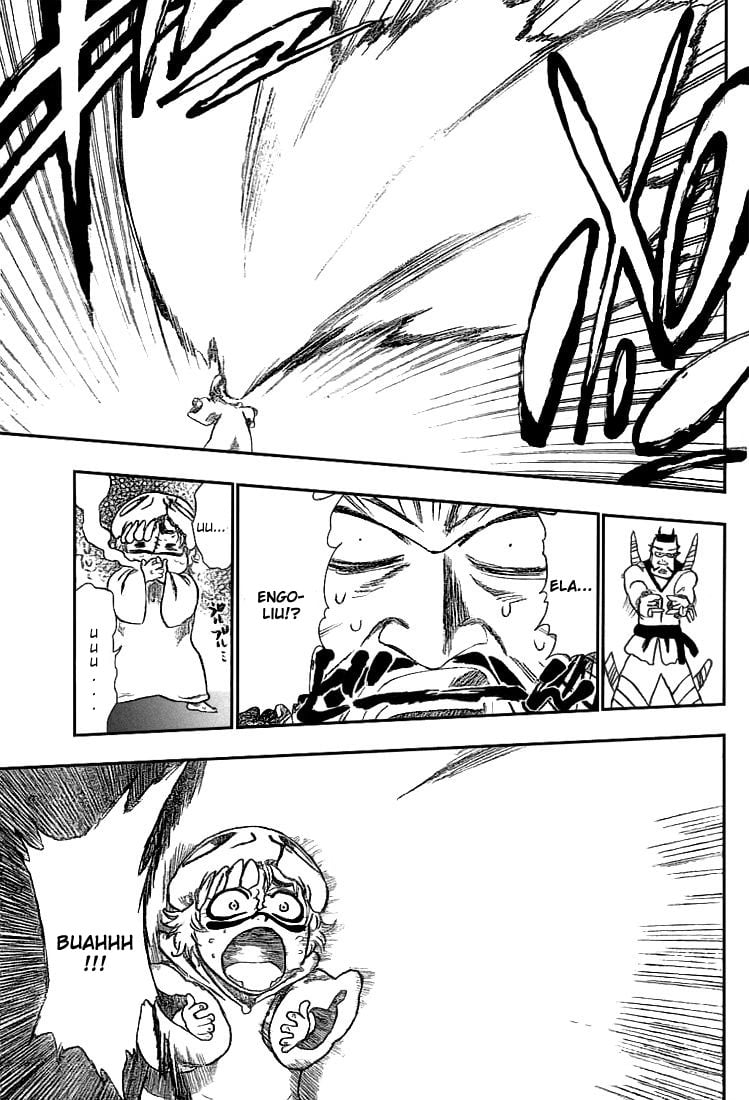 Bleach Capítulo 252 Página 16