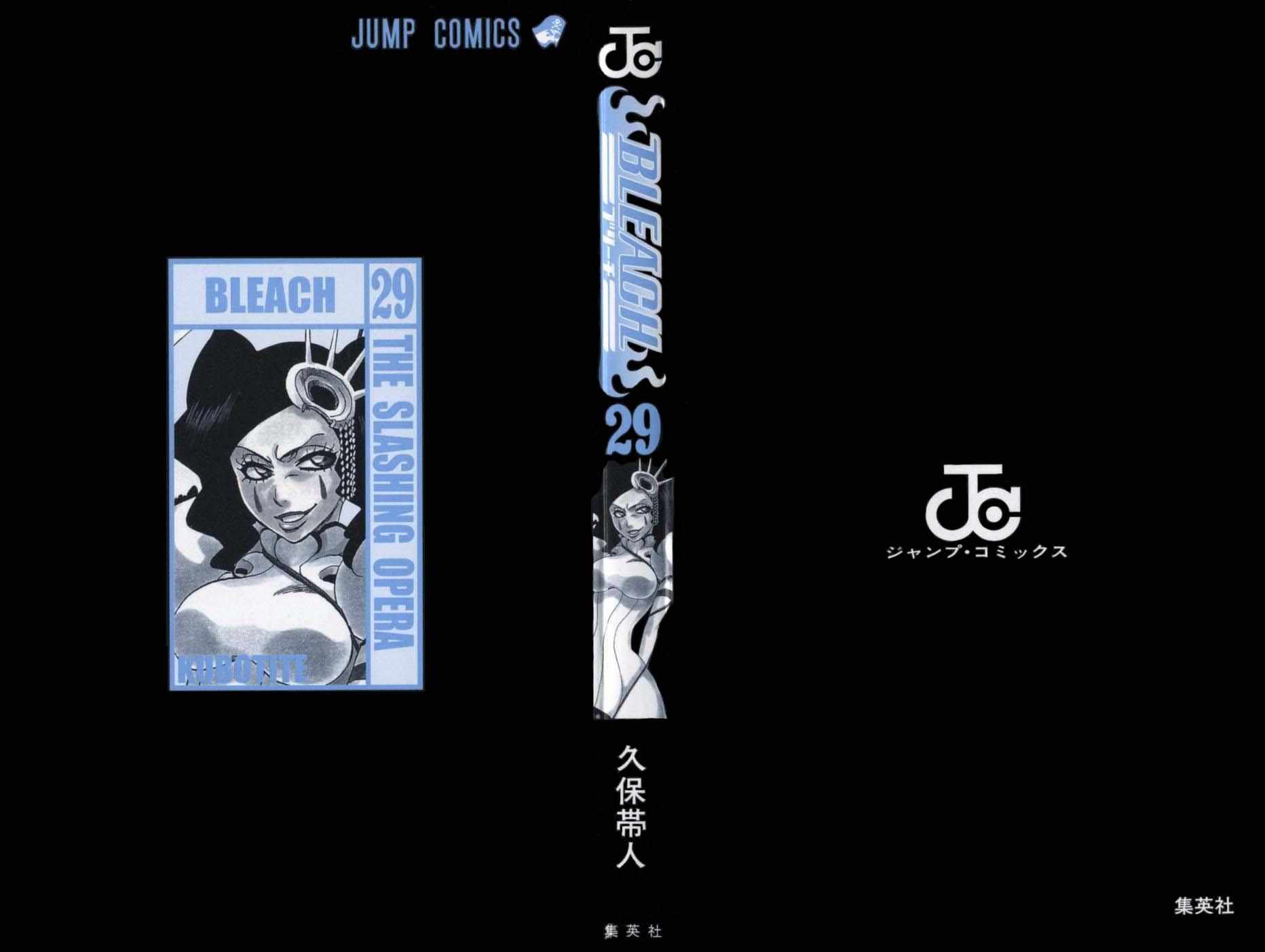 Bleach Capítulo 252 Página 24