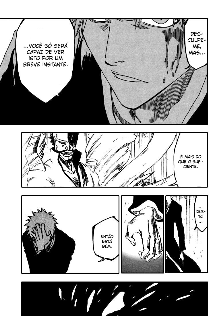Bleach Capítulo 253 Página 13